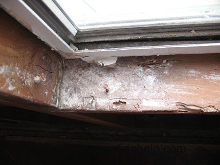 aluminum window water damage to wood house framing