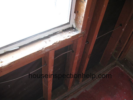 severe termite damage to wood window framing