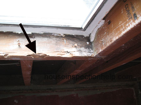 window sill framing termite damage from moisture